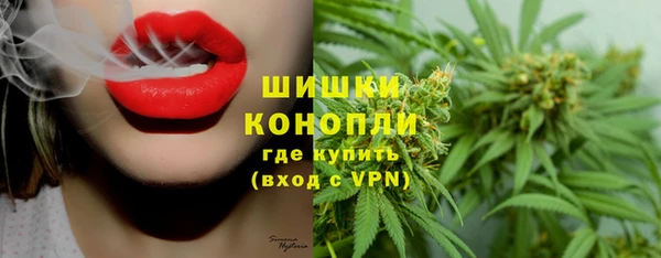 гидра Волоколамск