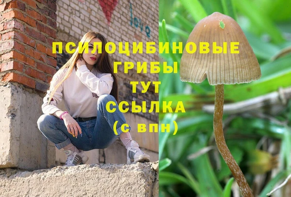 гидра Волоколамск