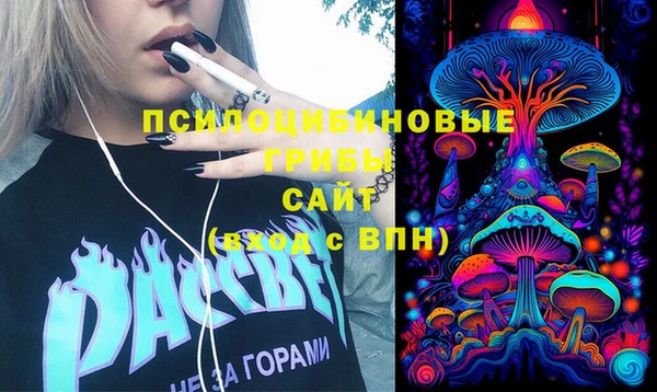 гидра Волоколамск