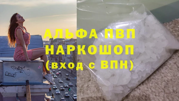 гидра Волоколамск